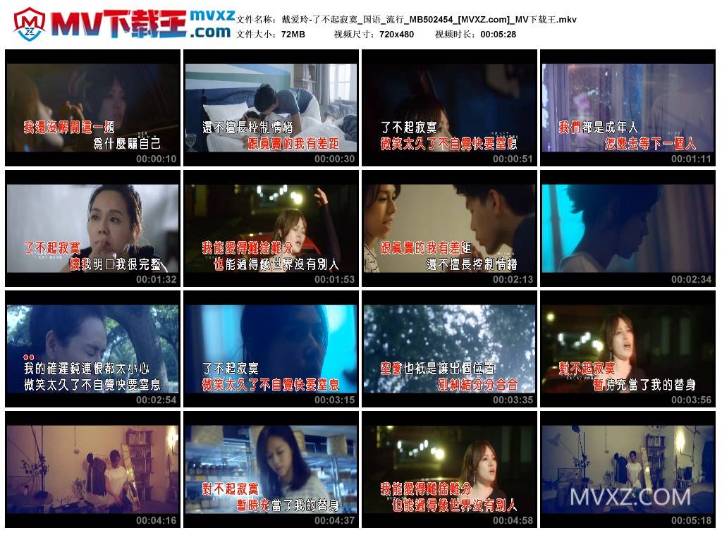 戴爱玲-了不起寂寞_国语_流行_MB502454